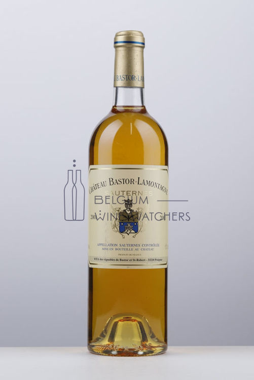 Picture of 2001 BASTOR LAMONTAGNE